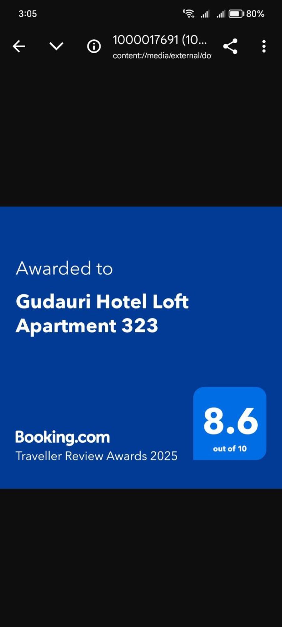 Gudauri Hotel Loft Apartment 323 部屋 写真